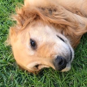 Meet your Posher, Maddie